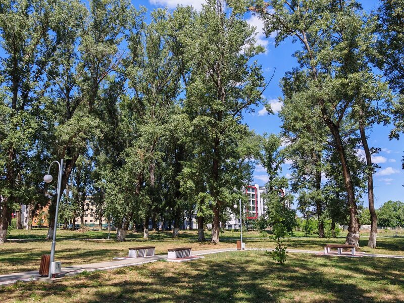 Roman, parc Zavoi,