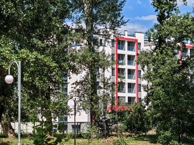 Roman, parc Zavoi,
